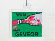 �����o�� GEVEOR (��)