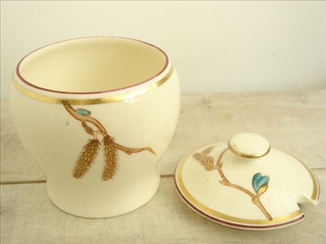 GOLDEN CATKIN