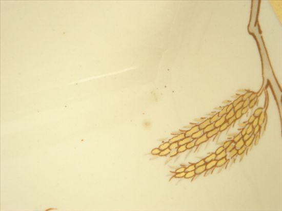 GOLDEN CATKIN