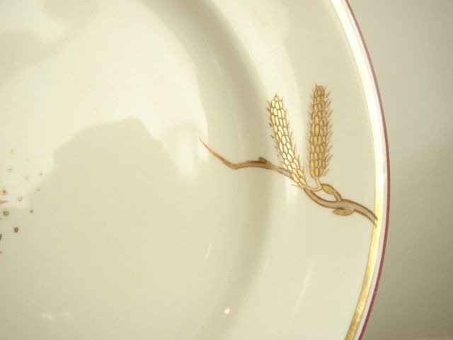 GOLDEN CATKIN